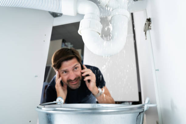 Best Affordable Plumbing Services  in Warren, MN