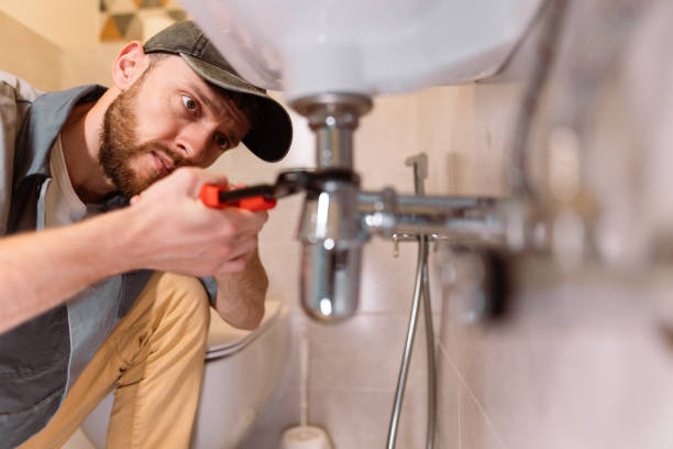 Best Sewer Cleaning Services  in Warren, MN